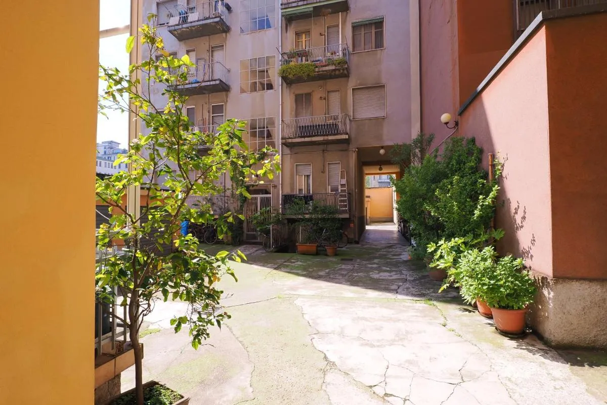 Image 5 of PrimoPiano – Carcano