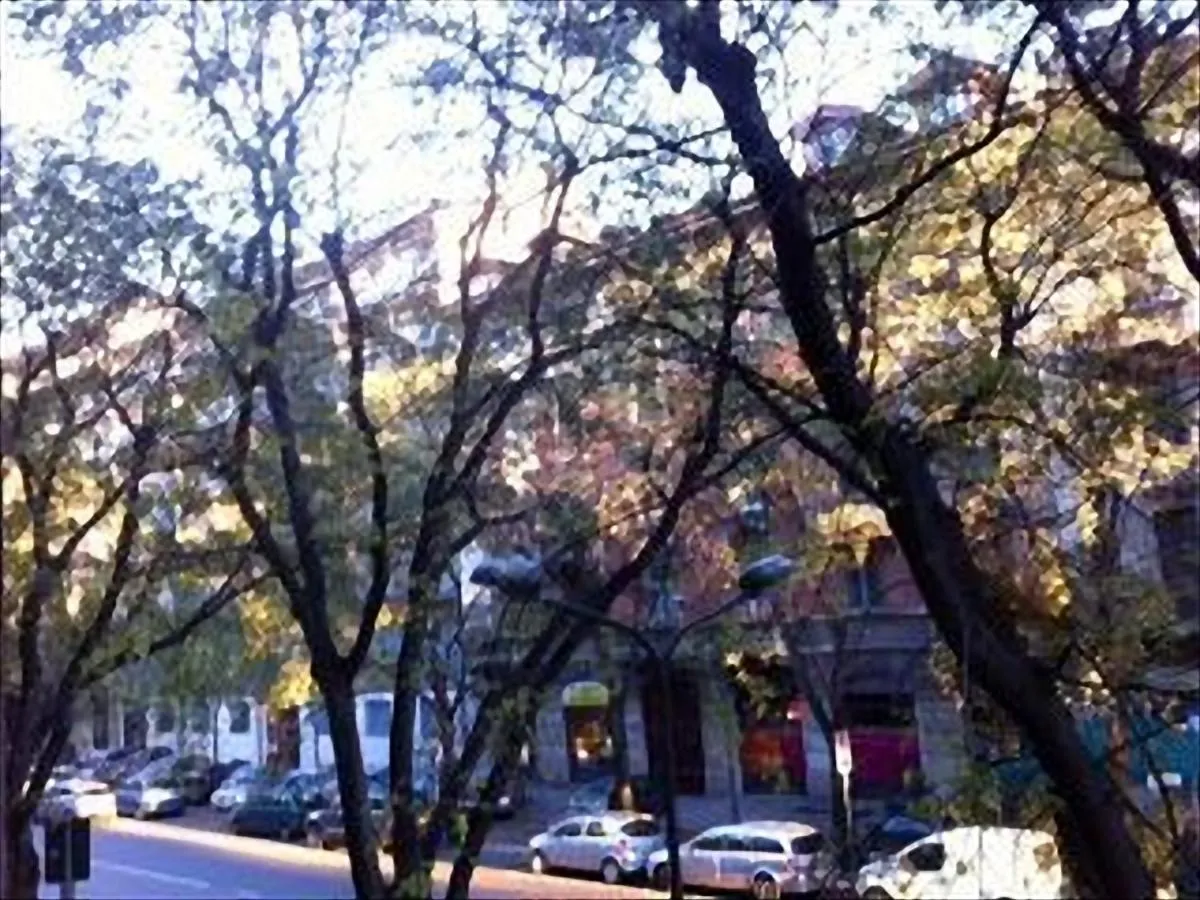 Image 5 of Romantic & Artistic Apartment