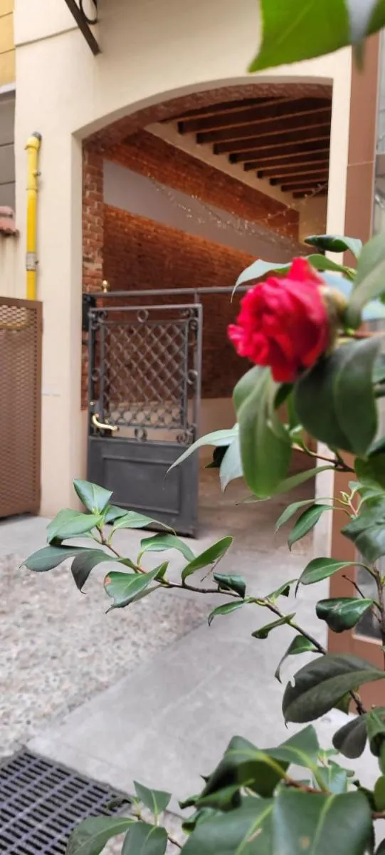 Image 5 of Santarella Guest House