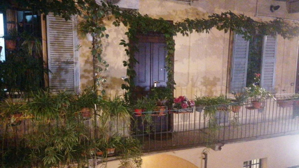 Image 5 of Sarpi42