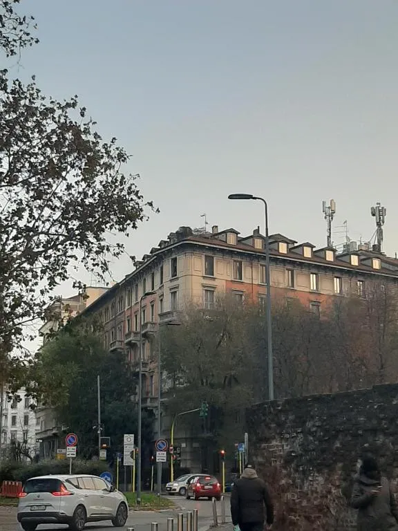 Image of Savoia 19