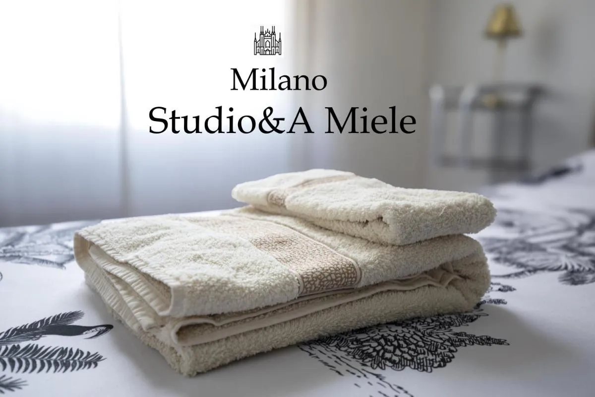 Image 2 of Sudio&A Miele