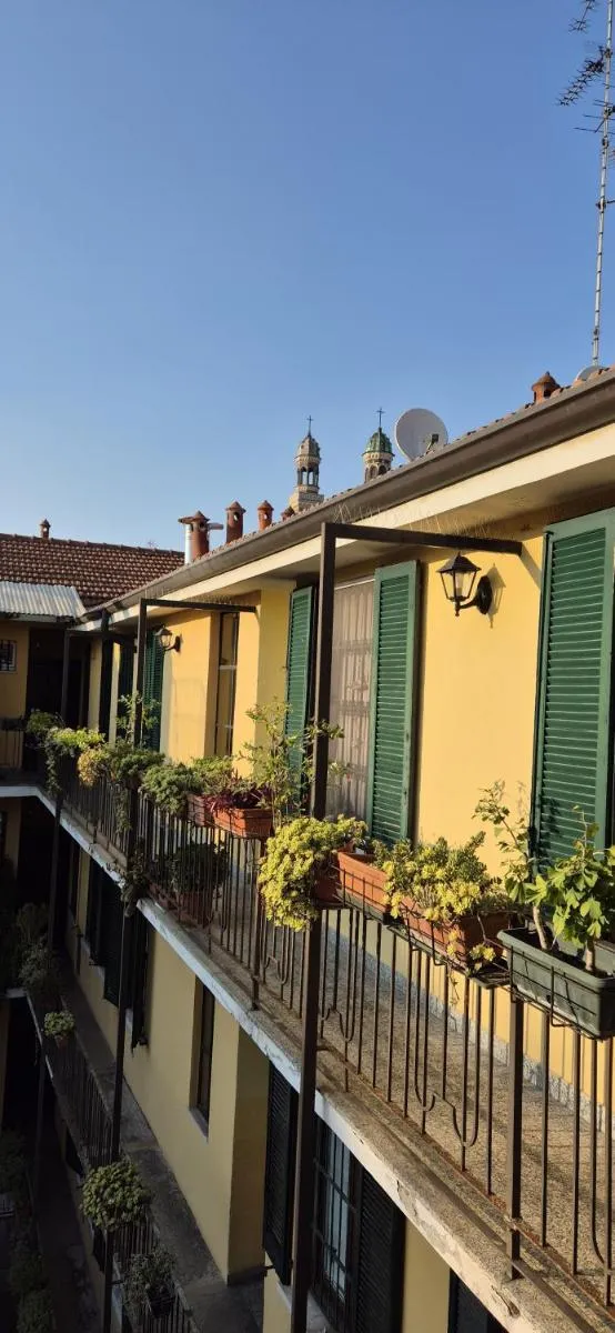 Image 4 of Whispering Naviglio Nest