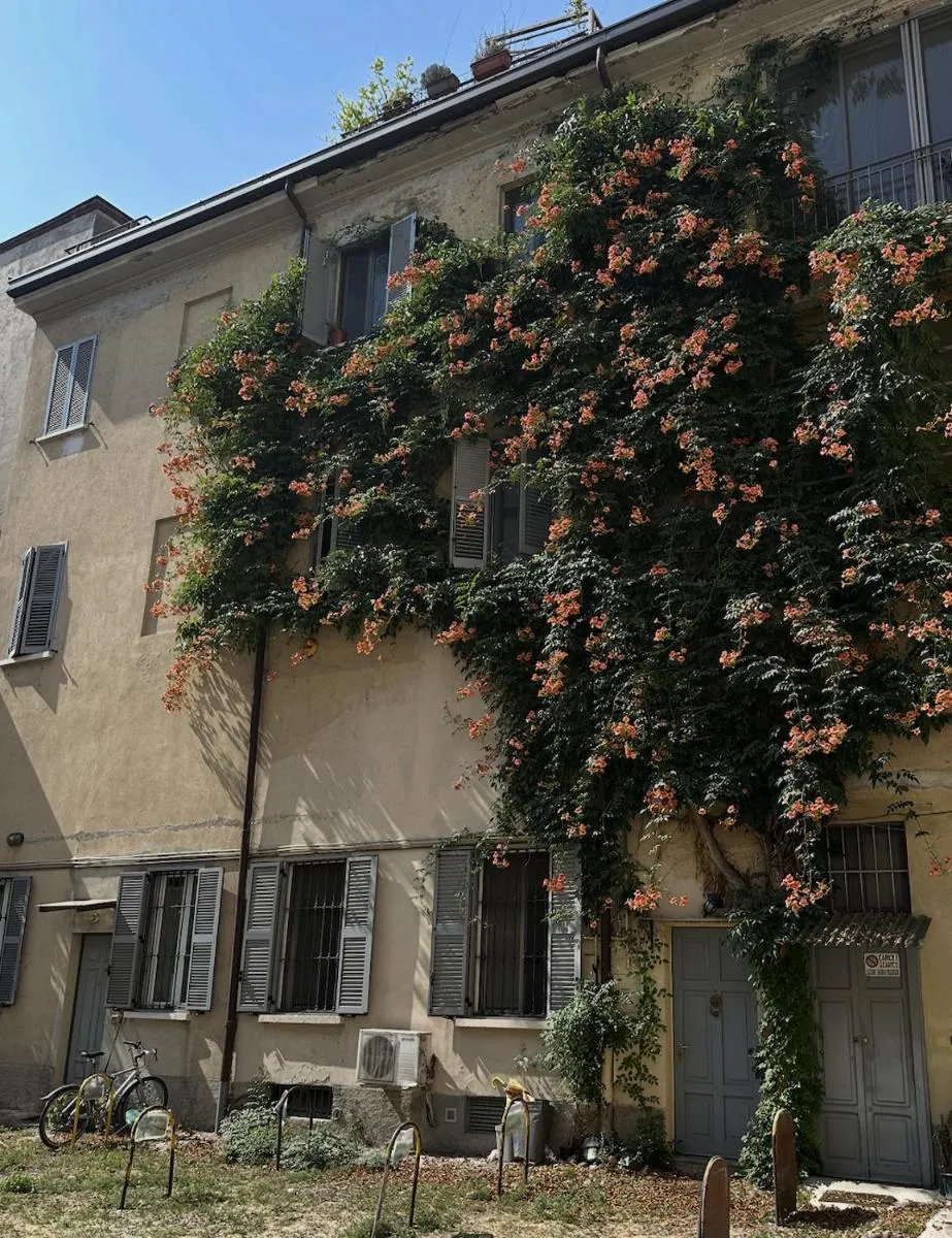 Image 6 of next to bocconi